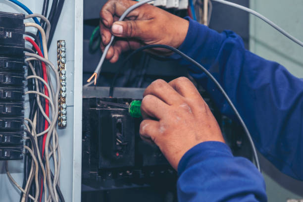 Best Electric Panel Repair  in San Benito, TX